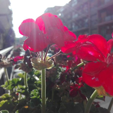 Cataniaedintorni住宿加早餐旅馆 外观 照片