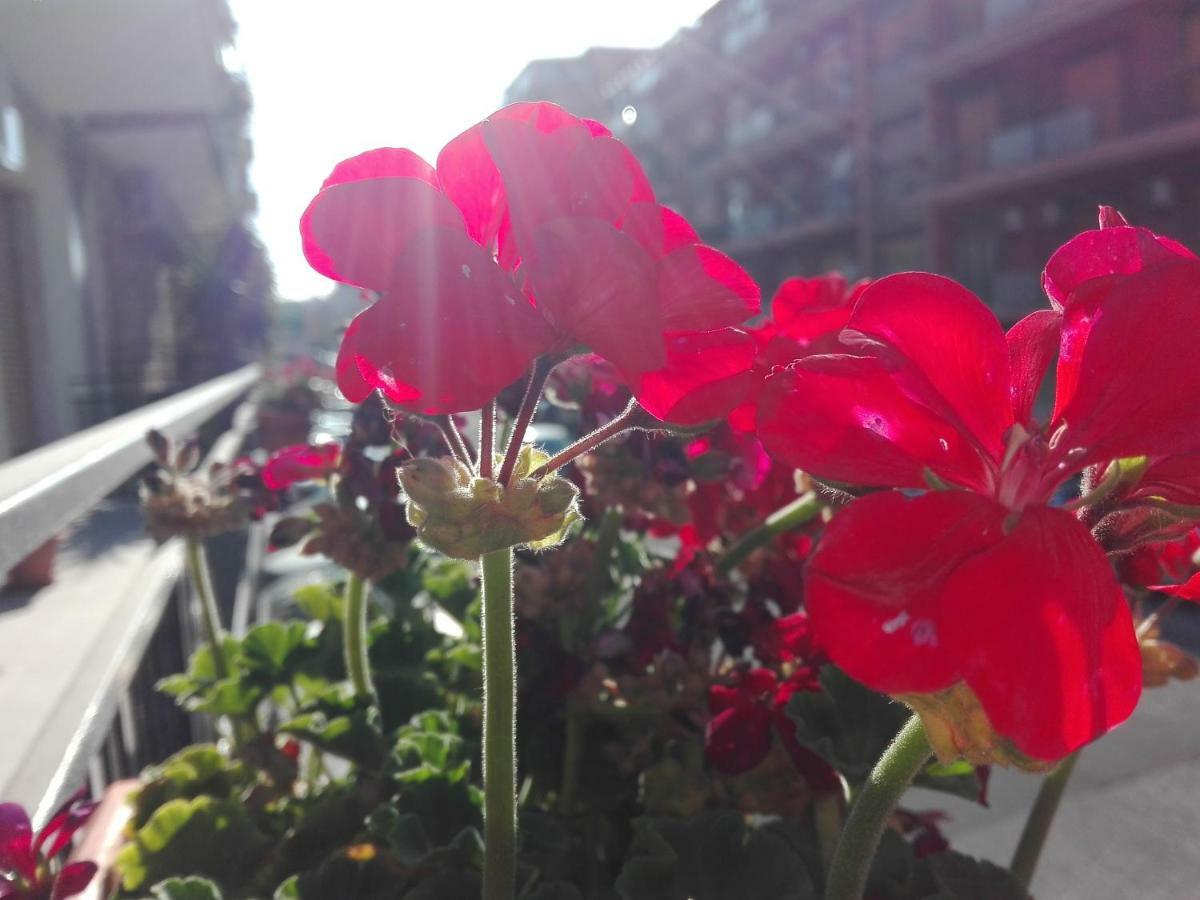 Cataniaedintorni住宿加早餐旅馆 外观 照片